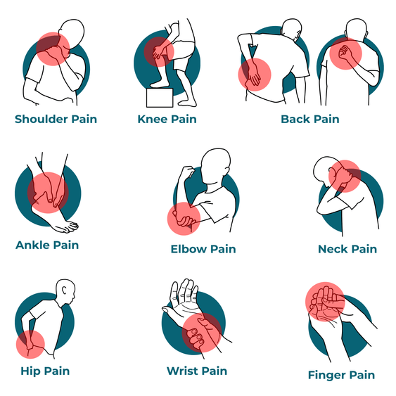 Body diagram showing areas the balm may be applied